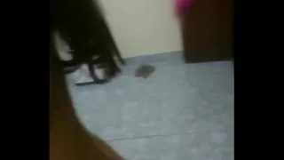 housewife cheats on her husband