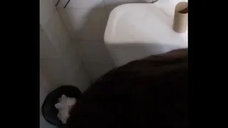 In the unfaithful bathroom he sucks me while the boyfriend shops