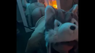 InnocentAdventures
