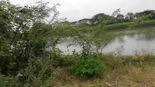 Unfaithful wife with her shameful friend fucking in front of the river.