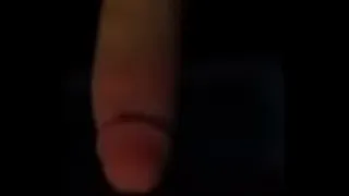 IMG 0824(1)