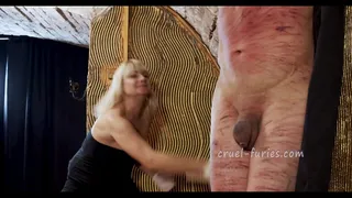 Obedient Guy Whipped