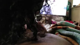 Blow job first thing in the morning