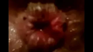 shitting the milk
