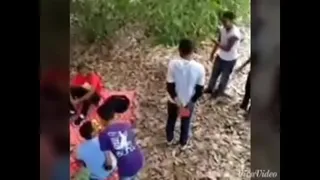 friends in the forest
