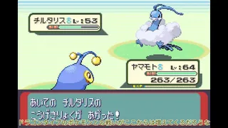 [Slow live commentary] Sapphire part14 where all Pokemon appear [Modified Pokemon]