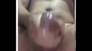 Dairy cock and hard