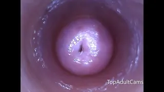 Live View From Inside Her Pussy In Front Of Her Fans
