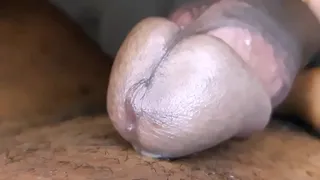 Roll whip, beautiful roll