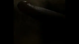 Big long taste