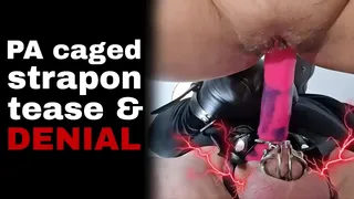 Femdom Strap on Sex Tease and Denial FLR