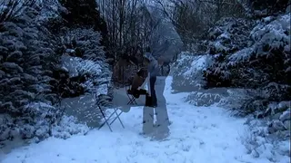 Cedilla or the snow pipe between dogs and wolves