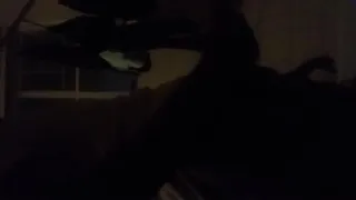 Xvideos man needs a whore