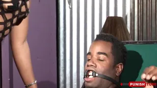 PunishTube - Thicc Mistress Sydnee Capri Spank This Submissive Dude