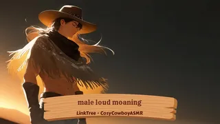 Moaning loud doggystyle