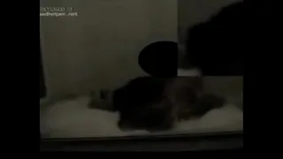 MOANING RICH IN JAKUZI