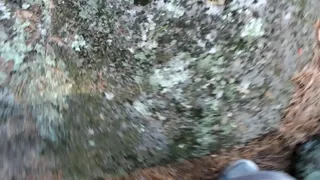 EROTIC MILF SESSION IN THE WILD
