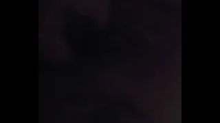 Xvideos