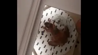 german motel sex