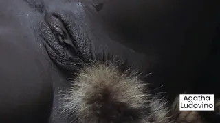 Fernanda Chocolatte is a professional in the art of sucking pussy