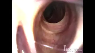 Pixie Opens Mouth Shows Throat
