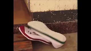Pussy Ass Boobs New Song