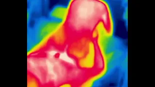 fucking with thermal