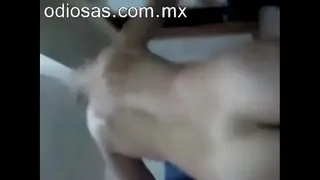 Chihuahua teacher, part 3