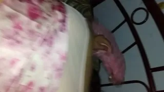 Horny neighbor