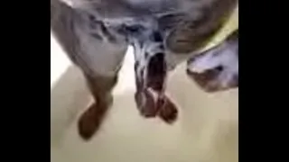 Shower jack off