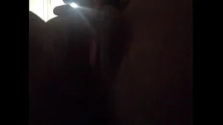 MasquedBandit wants to get off while you watch...come and play!
