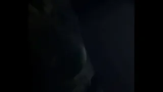 wonderful oral