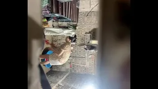 Secretly filming my sister-in-law coming home from work to take a shower at night