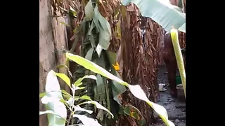 Caught bathing