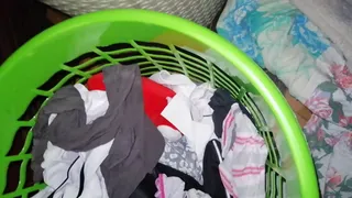 Panty