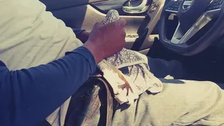 Car Panty Prev