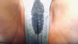 My wet panties