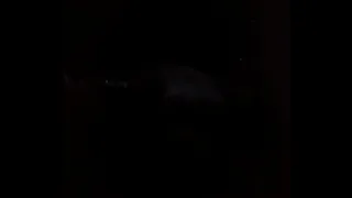 My old woman sucking cock