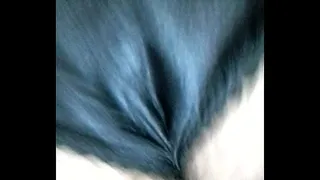 wife's panties tucked up her ass