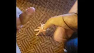 she loves my big dick