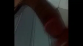 brand new pauzudo