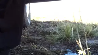 Peeing on the road