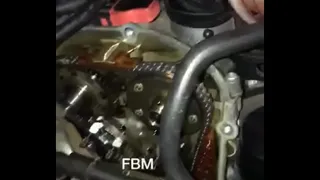 suck cock