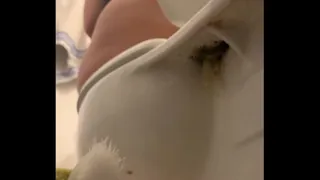 m. in law caught taking a piss