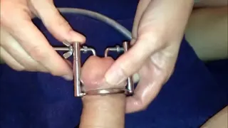 Peehole t. penis