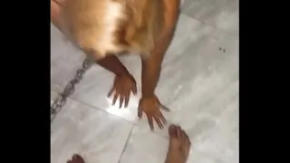 I love being your dog.