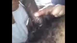 turkey neck game