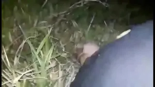 cumshot