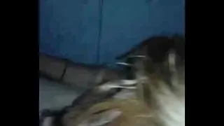 Vicky hitting part one
