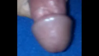 my cock